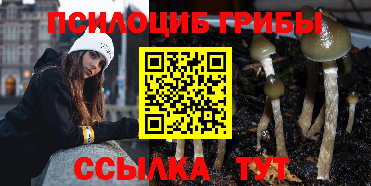 Галлюциногенные грибы мухоморы Россия
