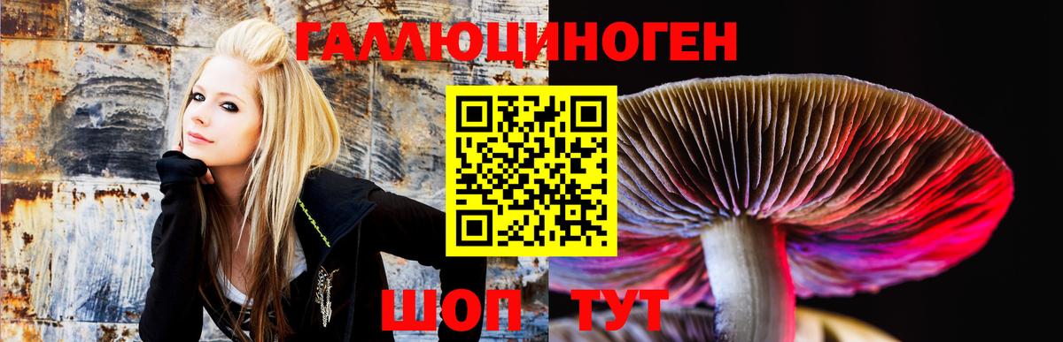 Галлюциногенные грибы Magic Shrooms  Галлюциногенные грибы Magic Shrooms  Вход с VPN  Россия 